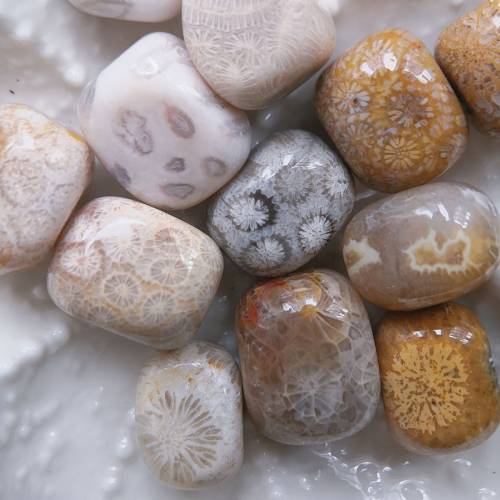 隨型珠 天然珊瑚玉串珠