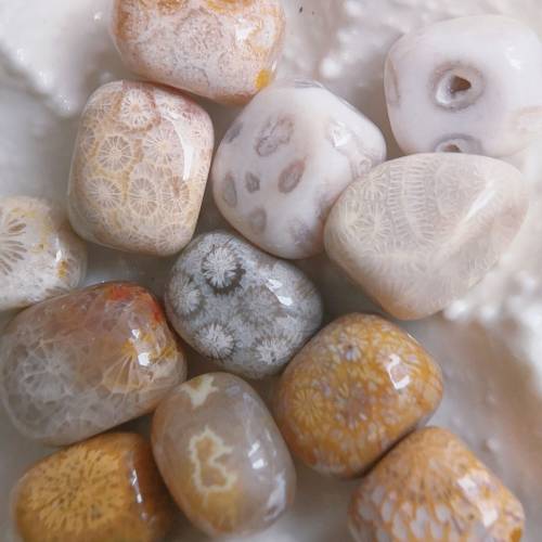 隨型珠 天然珊瑚玉串珠