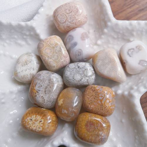 隨型珠 天然珊瑚玉串珠