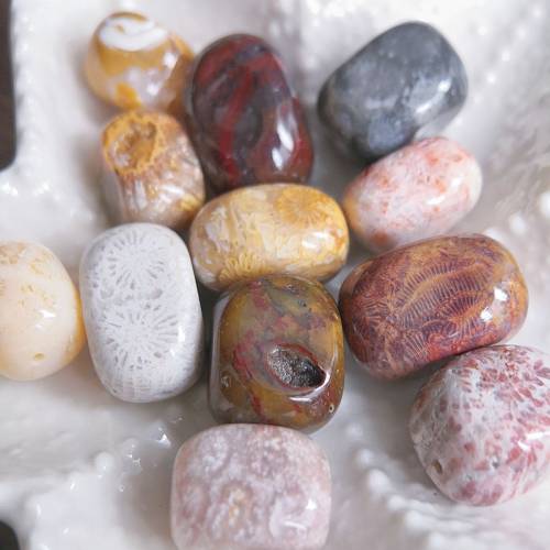 特價隨型珠 天然珊瑚玉串珠