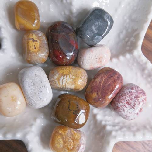 特價隨型珠 天然珊瑚玉串珠