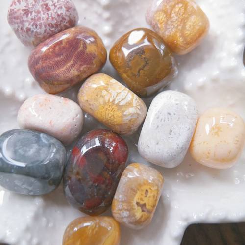 特價隨型珠 天然珊瑚玉串珠