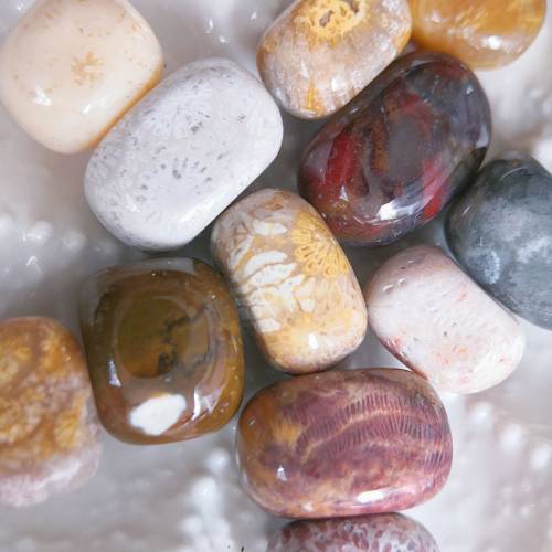 特價隨型珠 天然珊瑚玉串珠