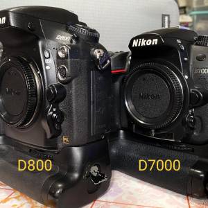 一秒六張影龍舟 : Nikon D800 , D7000 各一部