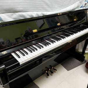 Yamaha U1 PE 鋼琴 (通利琴行）
