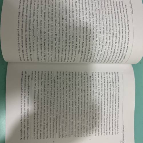 UGFN 與自然對話 第三版（最新版本） 極新