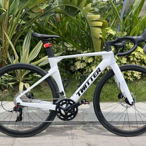 2024 TWITTER R10 22s/24s 碟剎桶軸 碳纖維公路車 送水架前後蛙燈