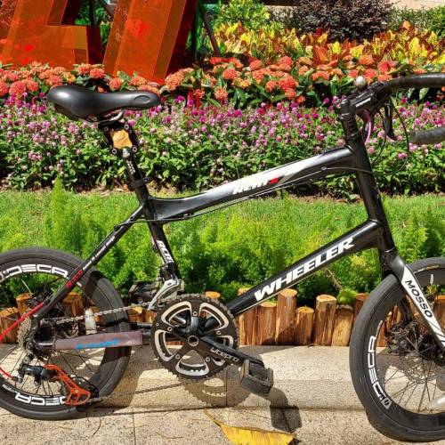 名牌20吋小輪徑碟煞一切正常