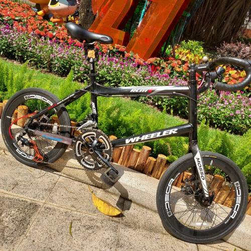 名牌20吋小輪徑碟煞一切正常