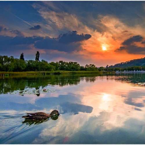 Ricoh(GXR)機身+(S10)24-72mm鏡頭+(DW-6)0.79x超廣角+(HA-2)延伸筒(CCD感光元件與L...