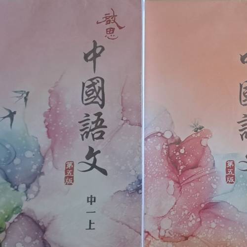 二手 中一級教科書 (多種科目)