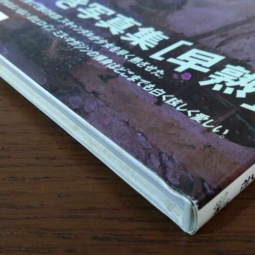 小澤夏希/小澤夏木寫真集 小沢なつき 写真集 早熟 沢渡朔