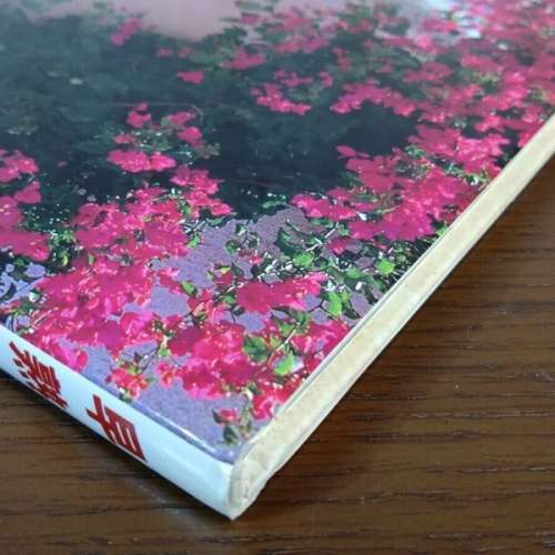 小澤夏希/小澤夏木寫真集 小沢なつき 写真集 早熟 沢渡朔