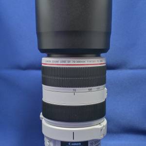 新淨 Canon 70-300mm L USM 輕巧紅圈長鏡 演唱會 旅拍 一流 肥白 可租用 5D 6D 7D ...