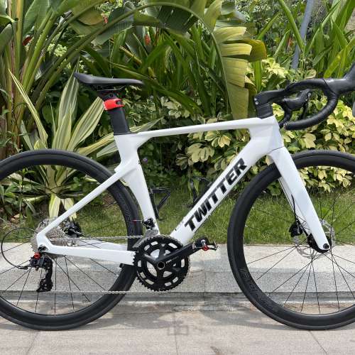 2024 TWITTER R10 22s/24s 碟剎桶軸 碳纖維公路車 送水架前後蛙燈