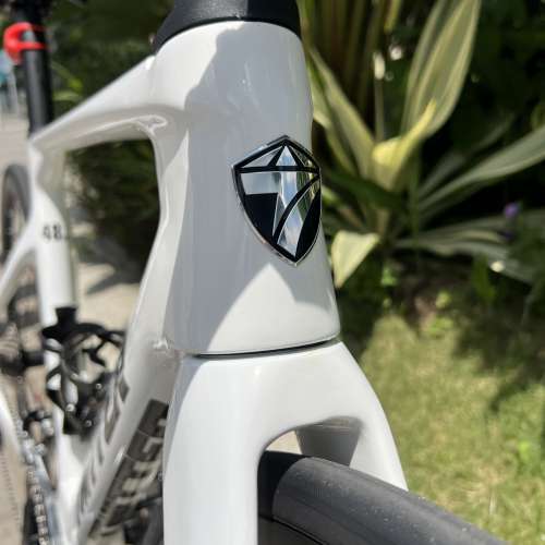 2024 TWITTER R10 22s/24s 碟剎桶軸 碳纖維公路車 送水架前後蛙燈