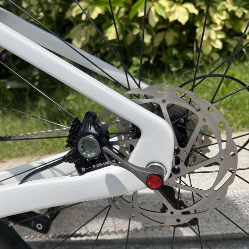 2024 TWITTER R10 22s/24s 碟剎桶軸 碳纖維公路車 送水架前後蛙燈