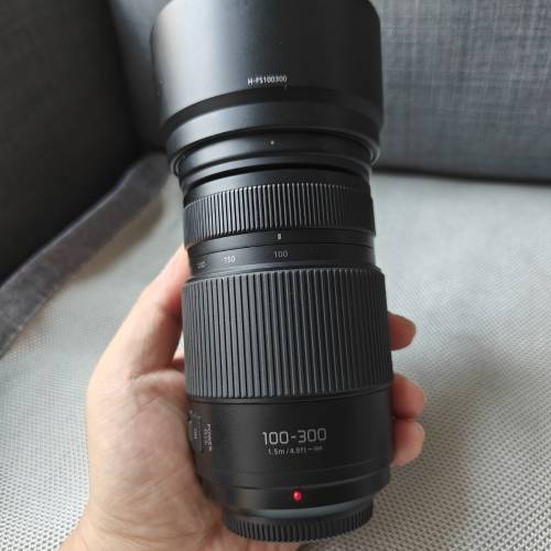 Lumix 100-300mm F4-5.6 二代