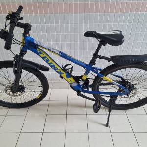 成人TrinX 24吋單車