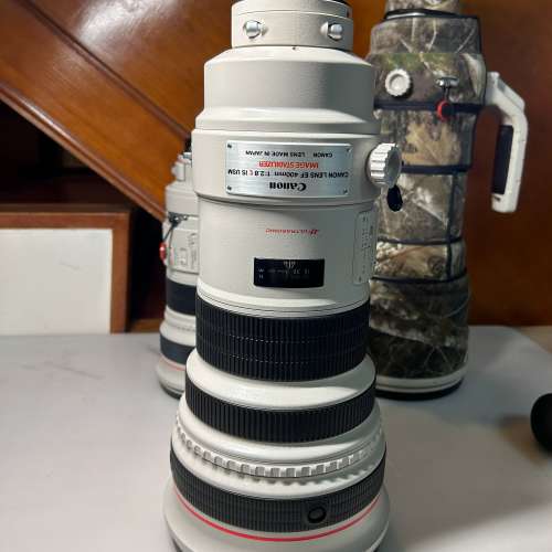 Canon EF 400mm F2.8L IS