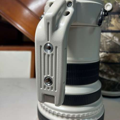 Canon EF 400mm F2.8L IS