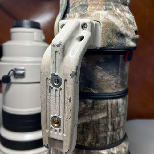 Canon EF 600mm F4L IS