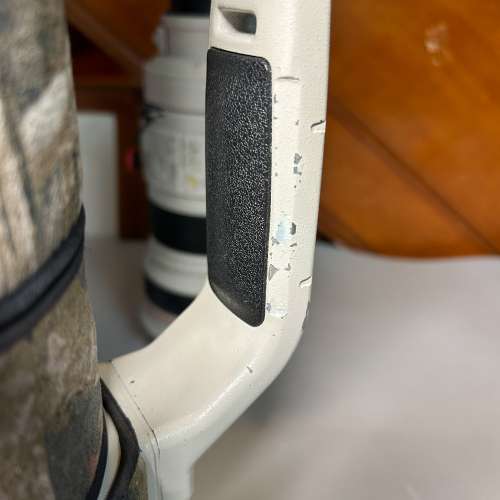 Canon EF 600mm F4L IS