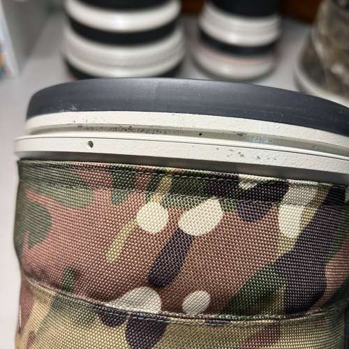 Canon EF 600mm F4L IS