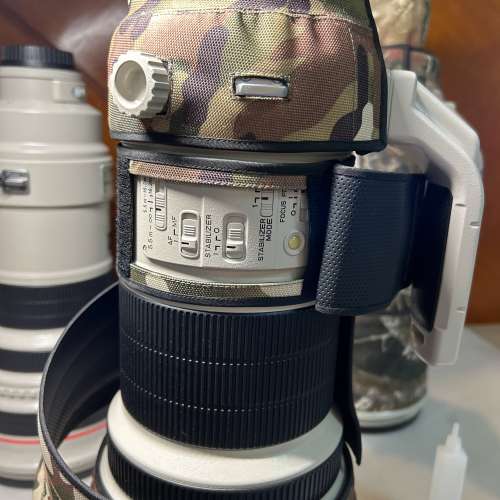 Canon EF 600mm F4L IS
