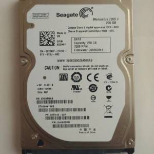 Seagate 2.5“ 250GB 硬碟 hard disk