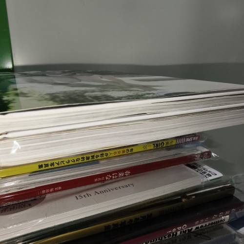 日本 女優 菜乃花 寫真集 連DVD 兩本