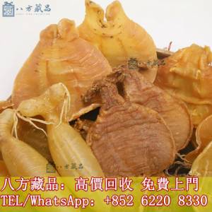 高價回收花膠 赤嘴花膠 鳘魚膠 石肚 房膠 蜘蛛膠 白花膠 鮑魚 海參 燕窩