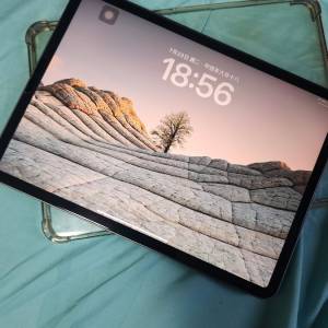 iPad Pro 11 M1 256g