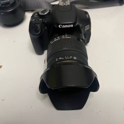 Canon 600D | Sigma 17-50mm F/2.8 EX DC OS HSM | Canon 50mm F1.8 STM