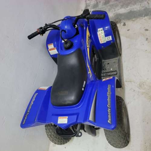 E-TON VIPER 汽油ATV