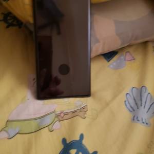 Samsung  Galaxy  S22  Ultra
