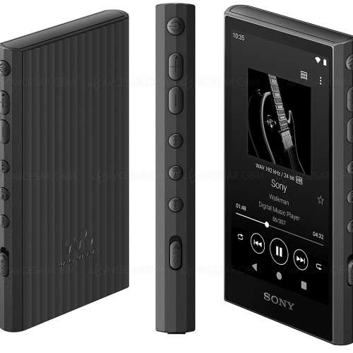 Sony NW-A306 Portable Audio Player