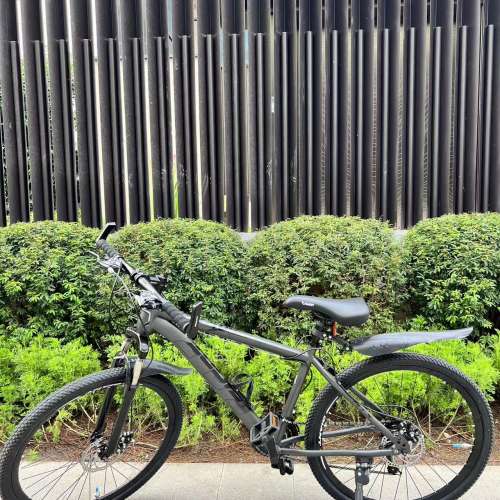 《免費送貨》捷安特AXT600  21-20速 油壓碟剎 700C 鋁架碳叉 公路車