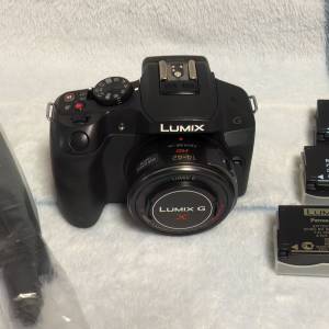 Panasonic Lumix G6  + Lumix G 14-42mm Power Zoom lens