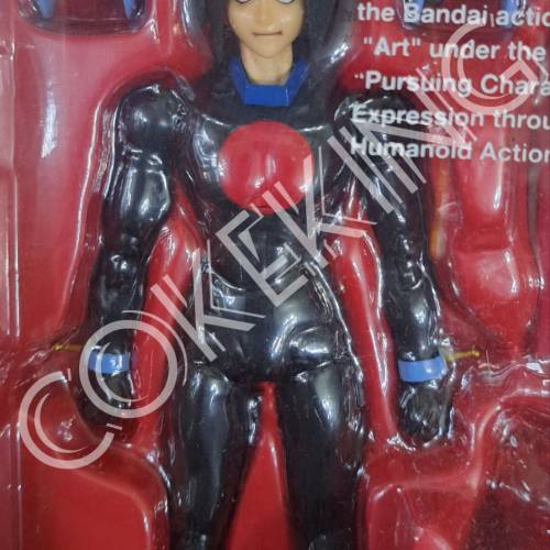 SHFiguarts DOMON KASSHU (高達機動武鬥傳)