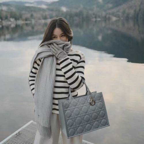 24Dior/全皮Tote 中号🎨