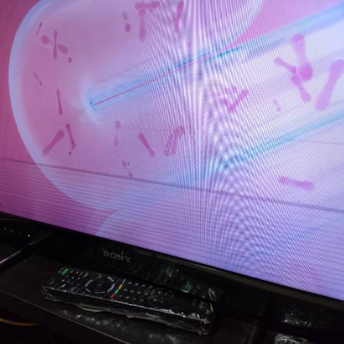 sony 27吋高清電視 問題機
