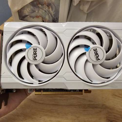 Sapphire amd rx 6600 8gb 極地版 國行