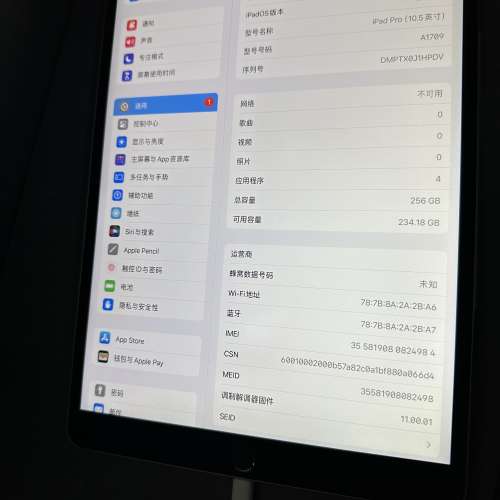 iPad Pro 10.5 256GB 插卡版