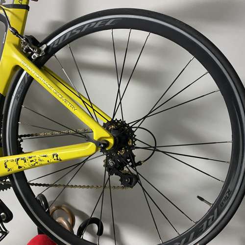 Twitter 碳纖破風 XS