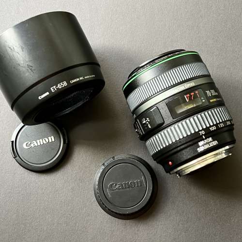 Canon EF 70-300mm DO