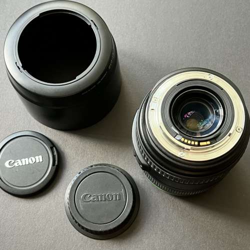 Canon EF 70-300mm DO