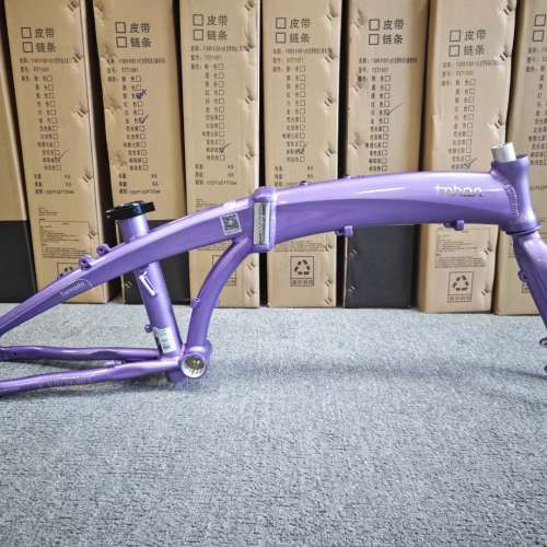 2024 新顏色車架 FNHON TORNADO DG2018 TIAGRA 10速 油剎 20吋 451 鋁合金 折叠車 ...