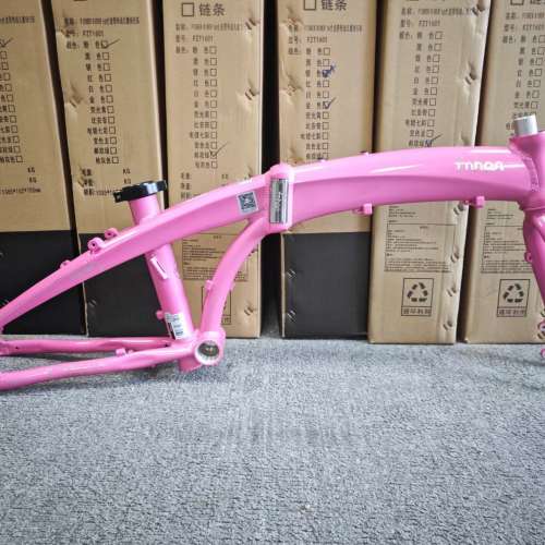 2024 新顏色車架 FNHON TORNADO DG2018 TIAGRA 10速 油剎 20吋 451 鋁合金 折叠車 ...