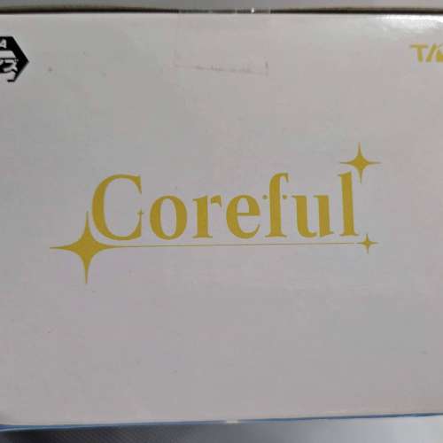 日版 RE:0 雷姆 REM 婚紗 Wedding Dress 新娘 Bridal Coreful 模型 Re:ゼロから始め...